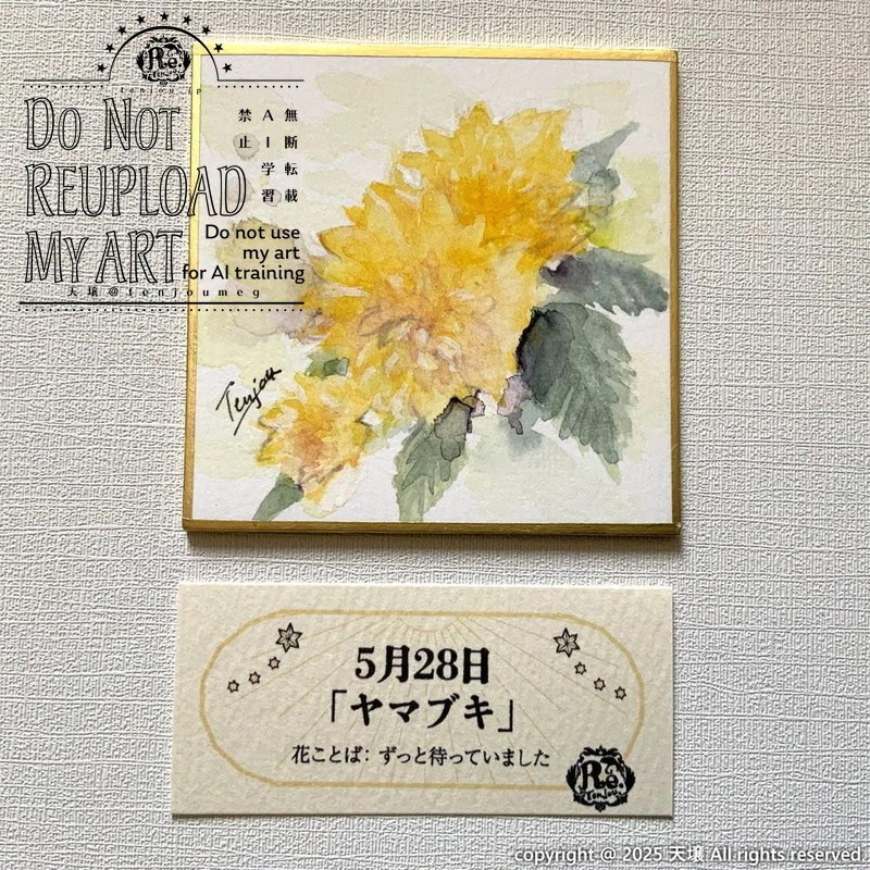 【原画】誕生花5月24日~5月29日