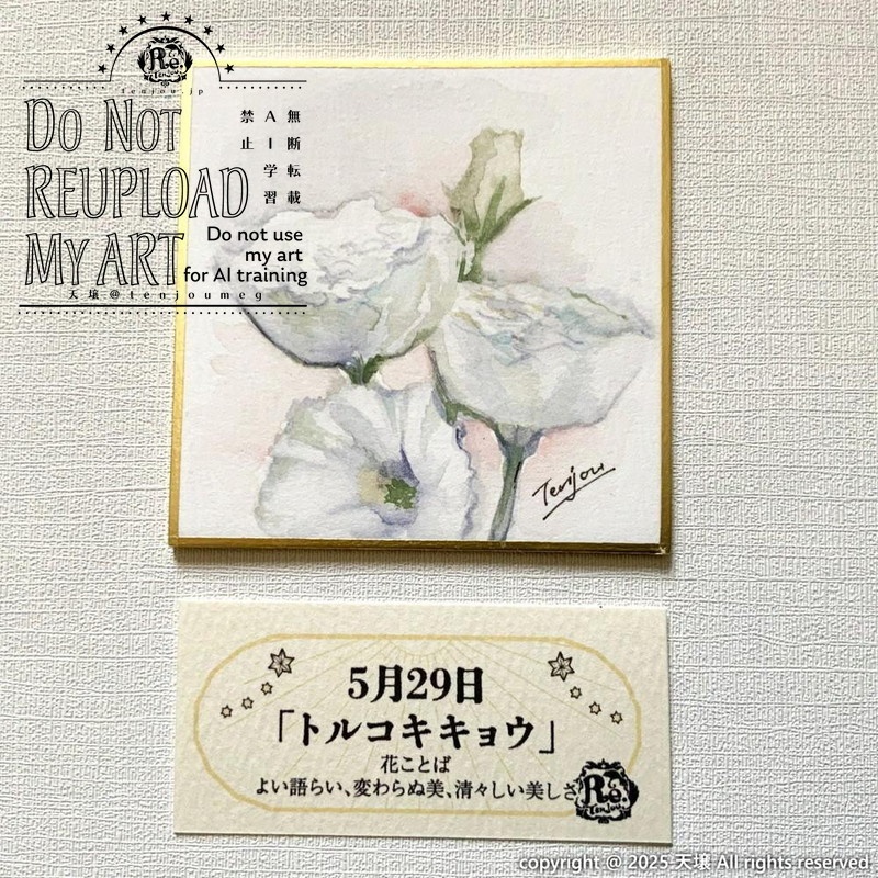 【原画】誕生花5月24日~5月29日