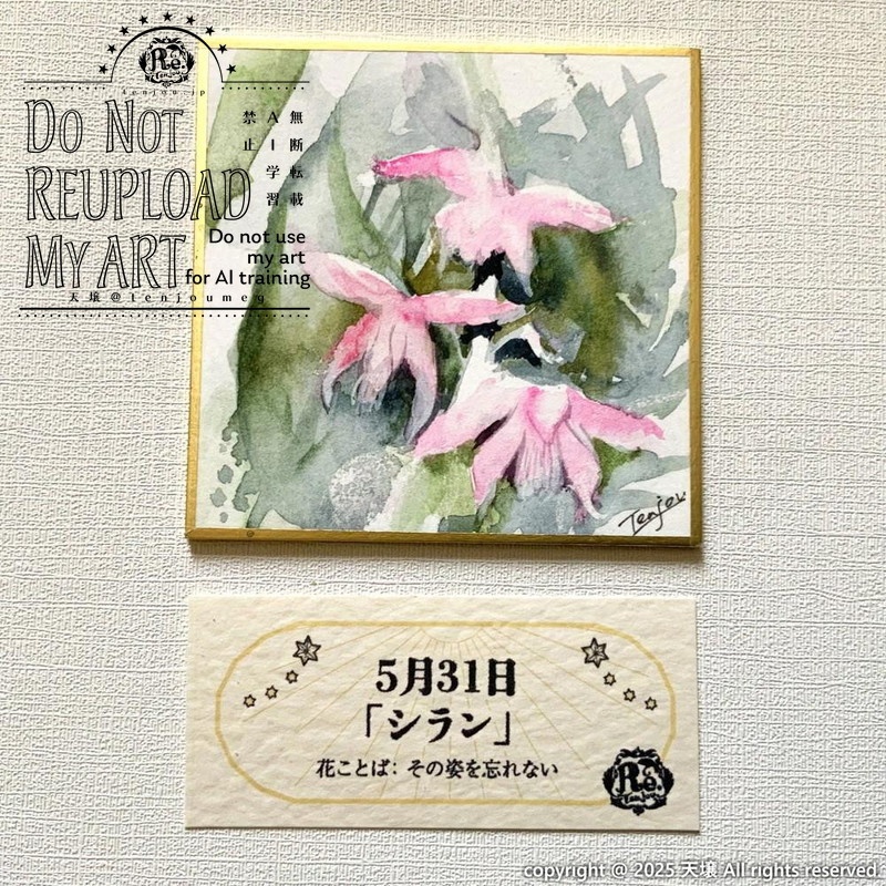 【原画】誕生花5月30日~5月31日