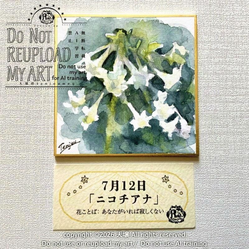 【原画】誕生花7月12日「ニコチアナ」