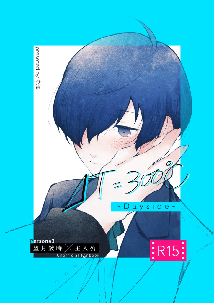 『ΔT=300℃ -Dayside-』