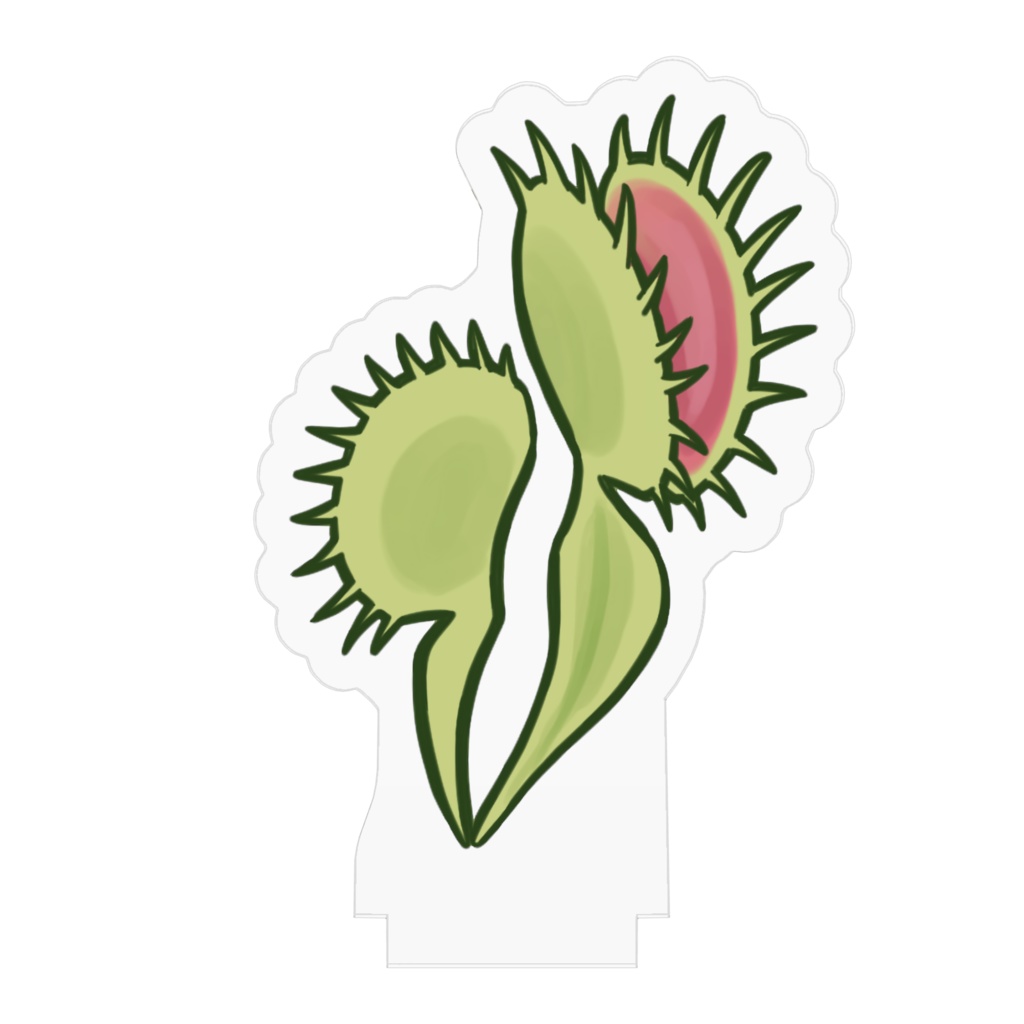 食虫植物ハエトリソウのアクスタ