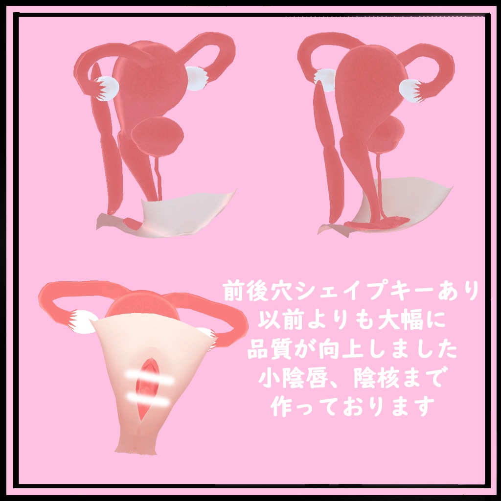 おめこ　断面図 