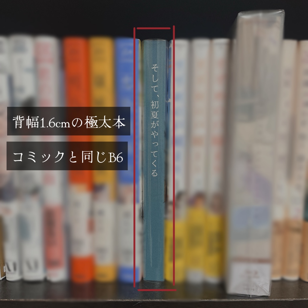 そして、初夏がやってくる