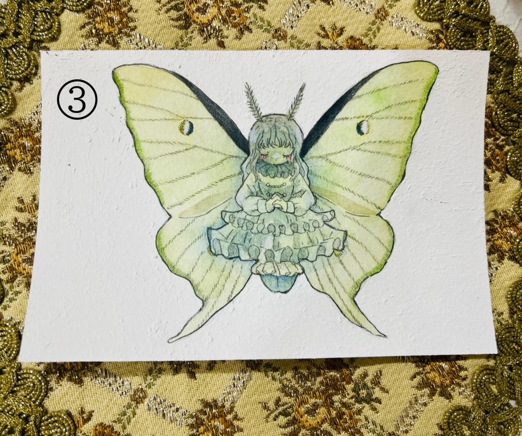 【原画】少女標本