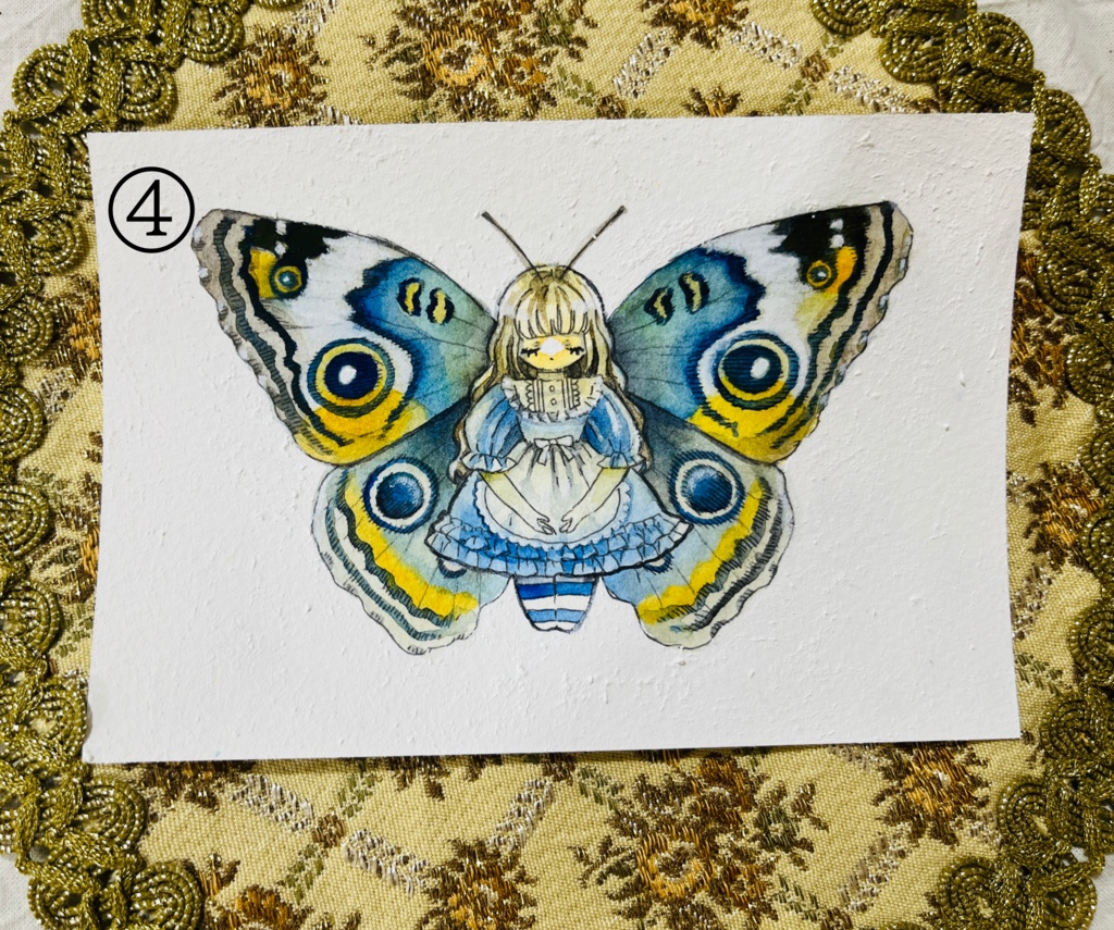 【原画】少女標本