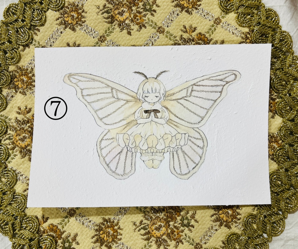 【原画】少女標本