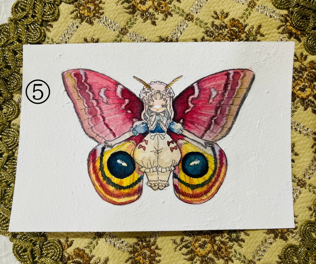 【原画】少女標本