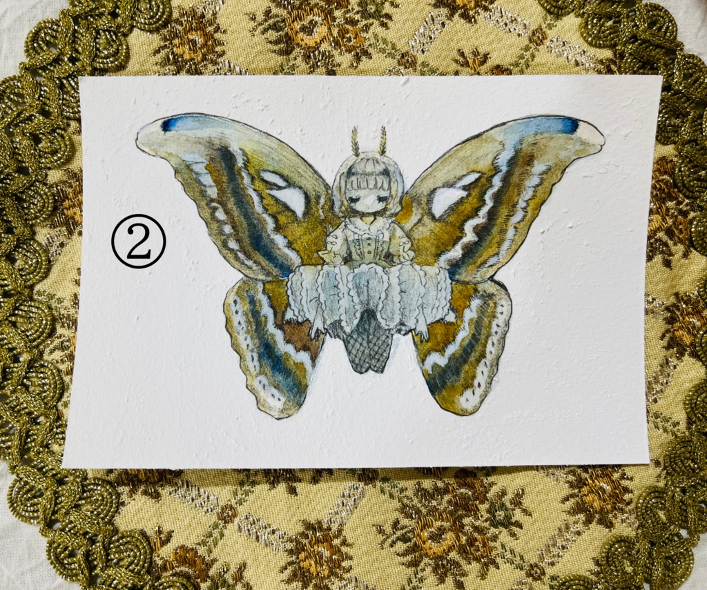 【原画】少女標本