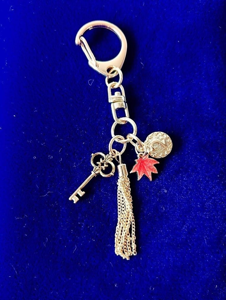 そーりイメージキーホルダー