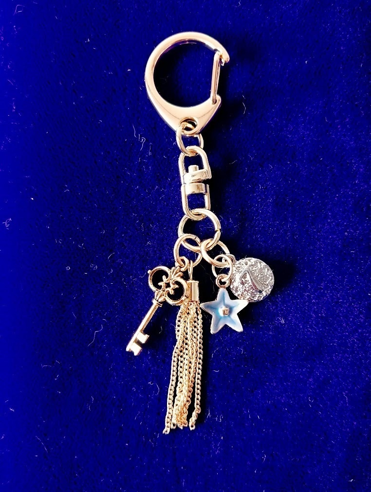 そーりイメージキーホルダー