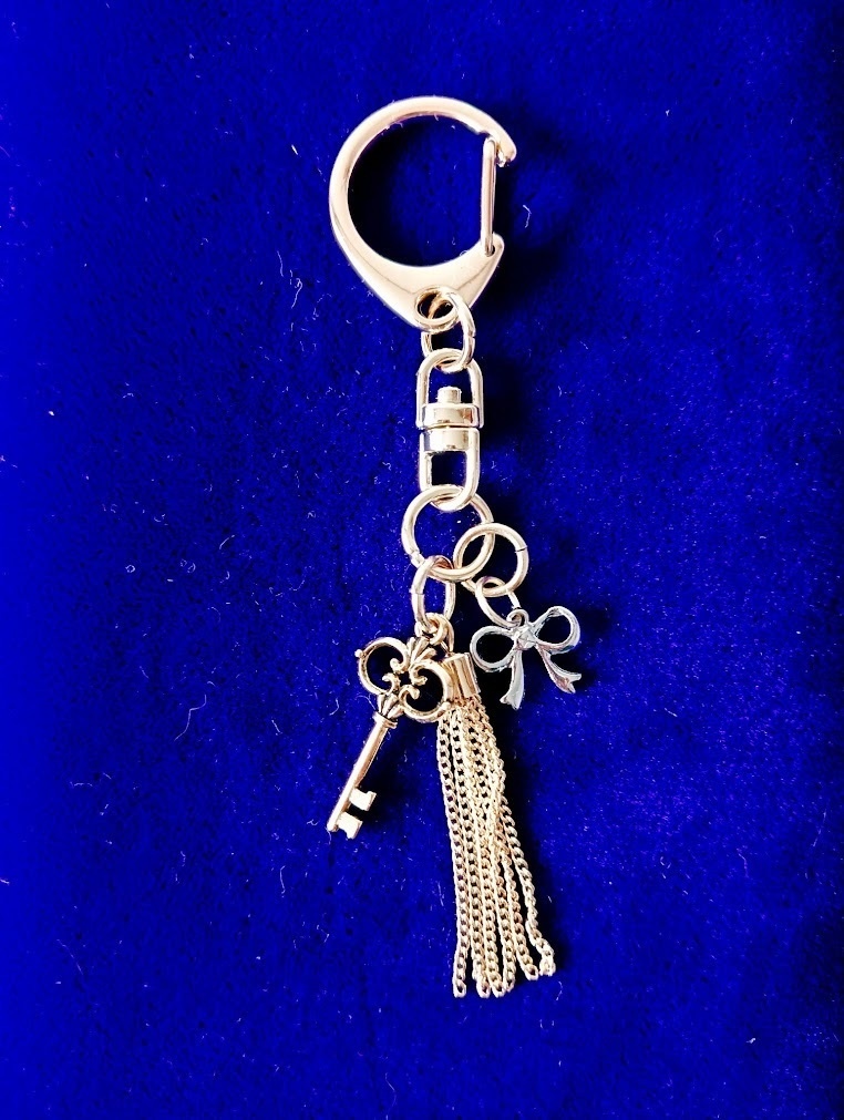 そーりイメージキーホルダー