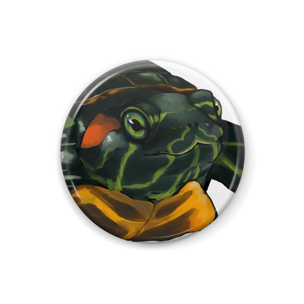 むちむちリアルカメさん🐢　缶バッジ
