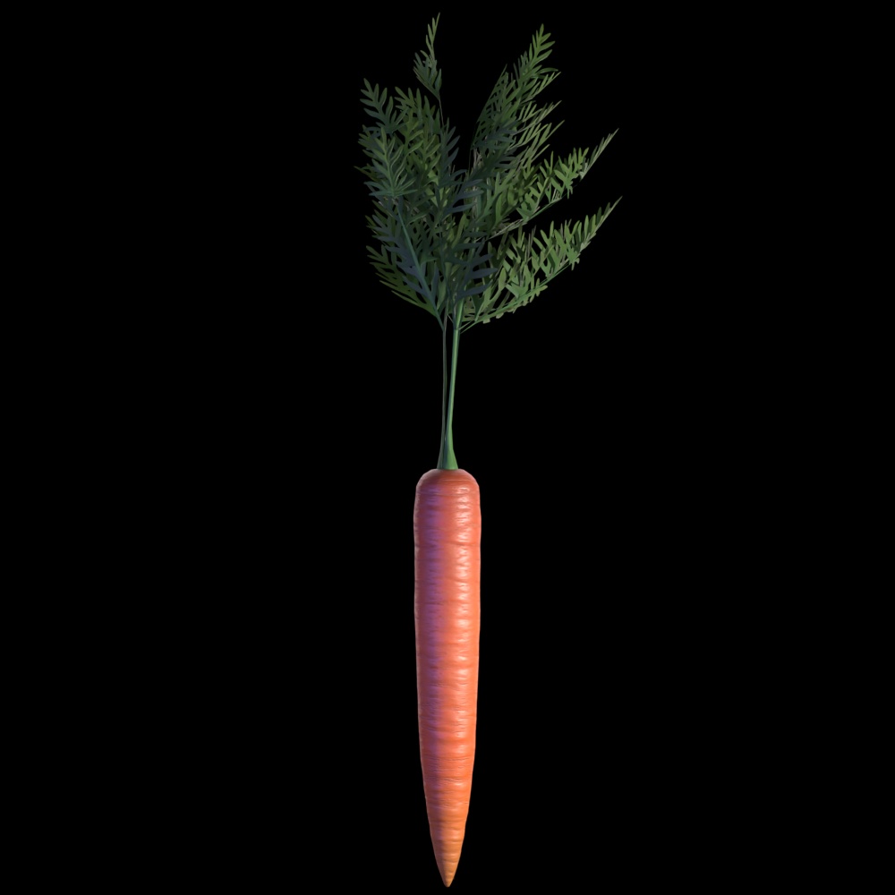VRC Carrot with Physbones