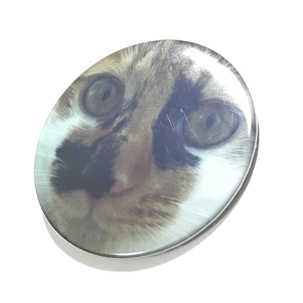 【缶ミラー】みけねこ