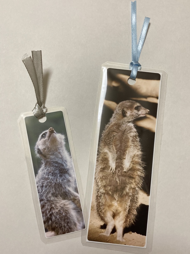 【しおり】ミーアキャット３