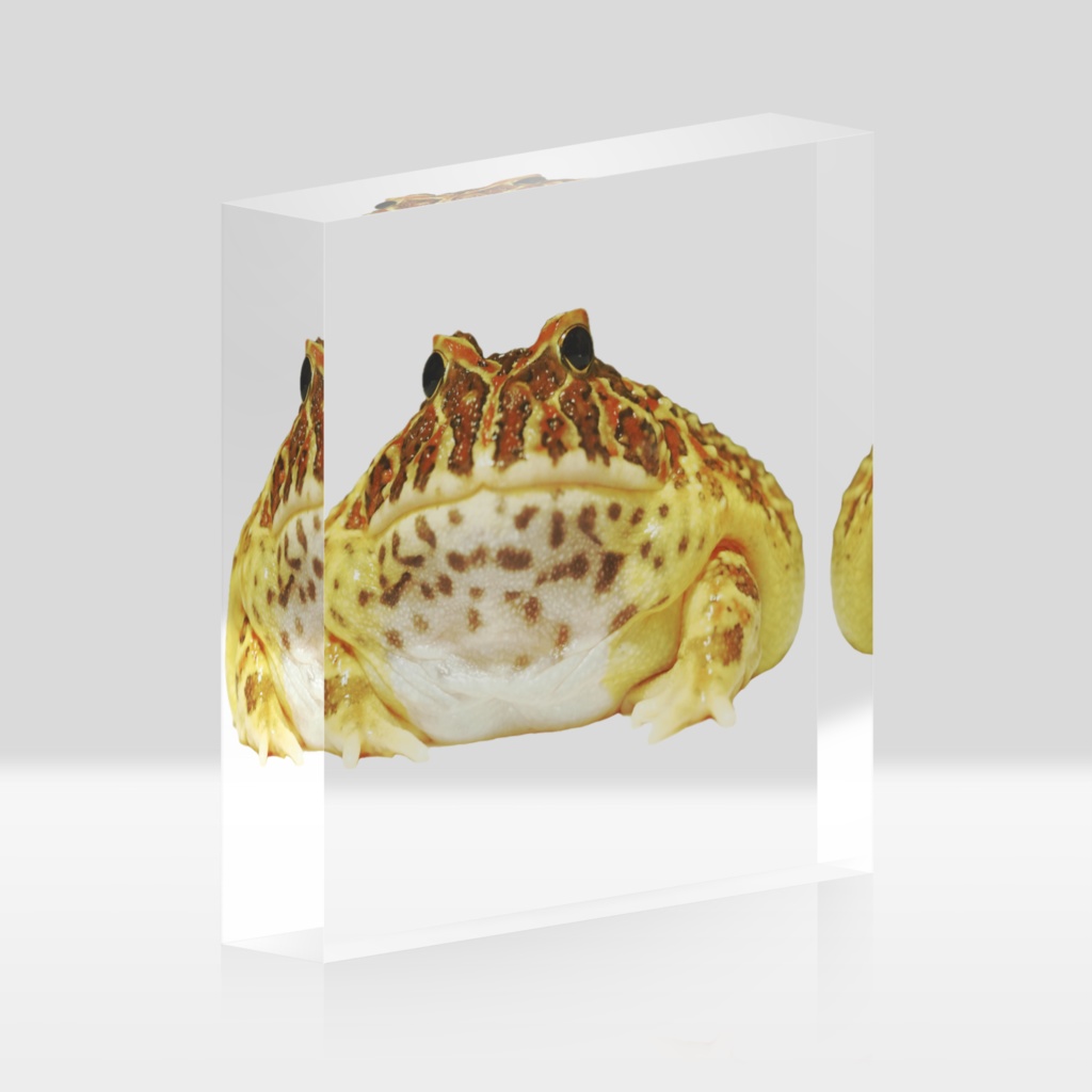 むちむちベルツノガエルアクリルブロック