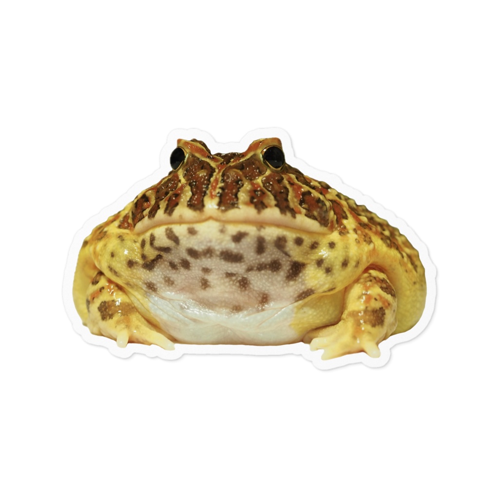 むちむちベルツノガエルステッカー