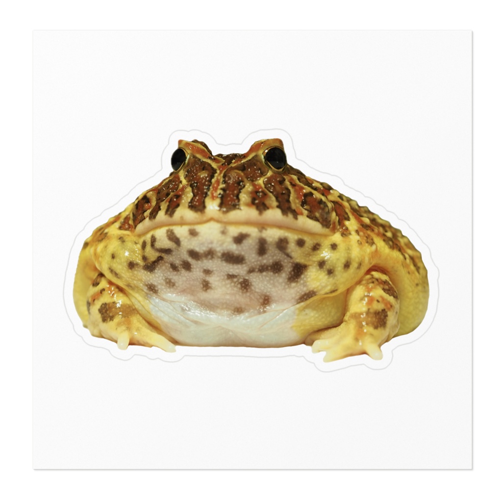 むちむちベルツノガエルステッカー