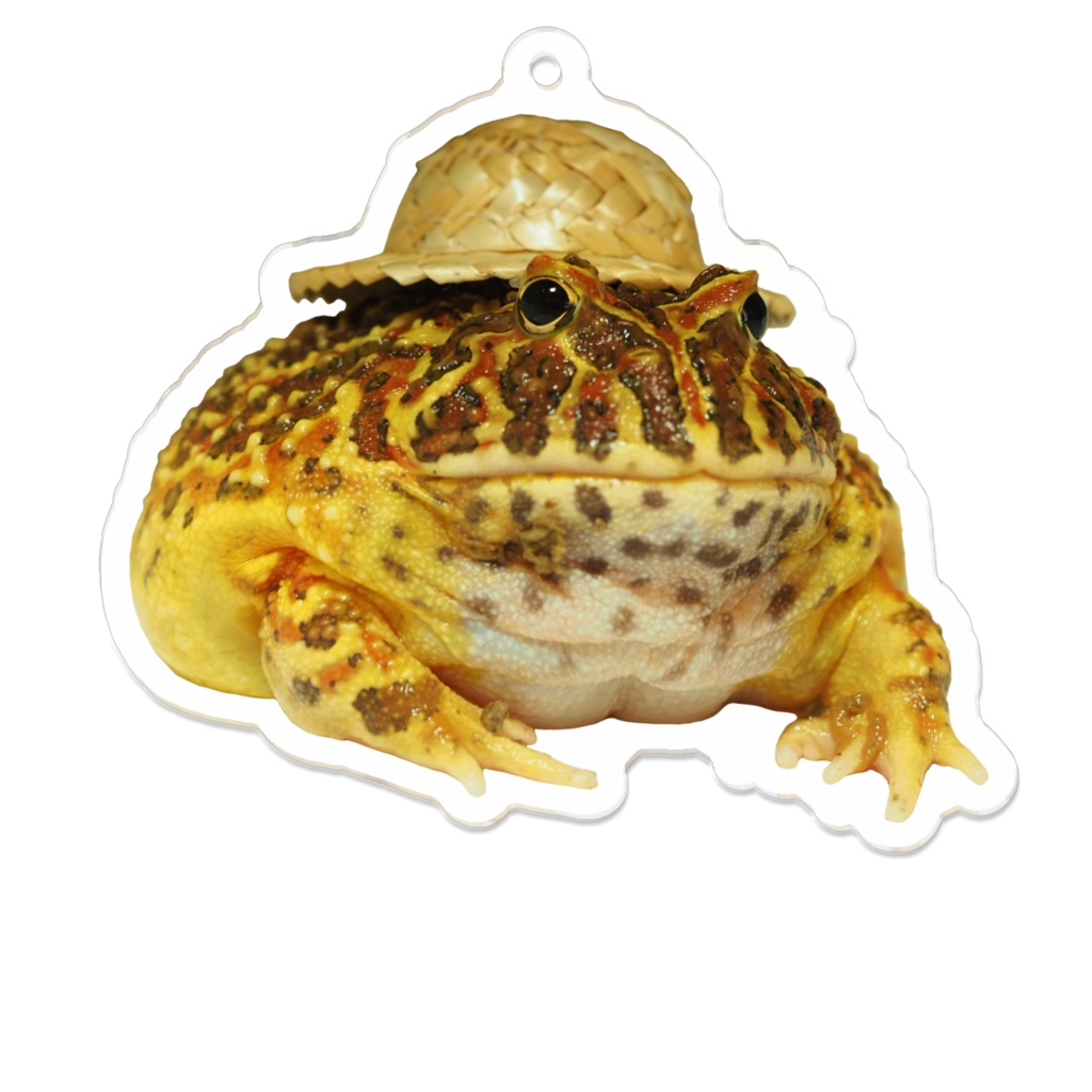 麦わらのベルツノガエルアクリルキーホルダー
