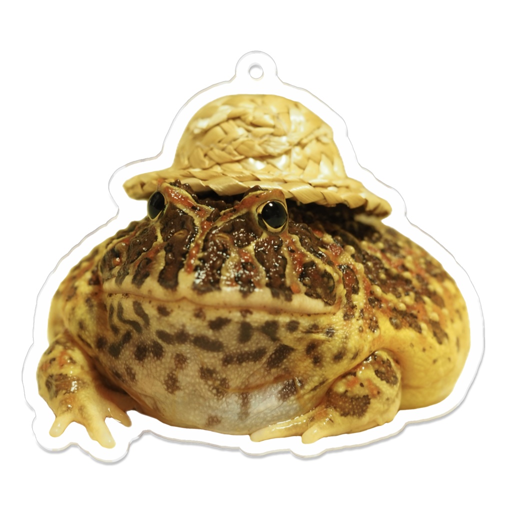かわいすぎるベルツノガエル　アクリルキーホルダー