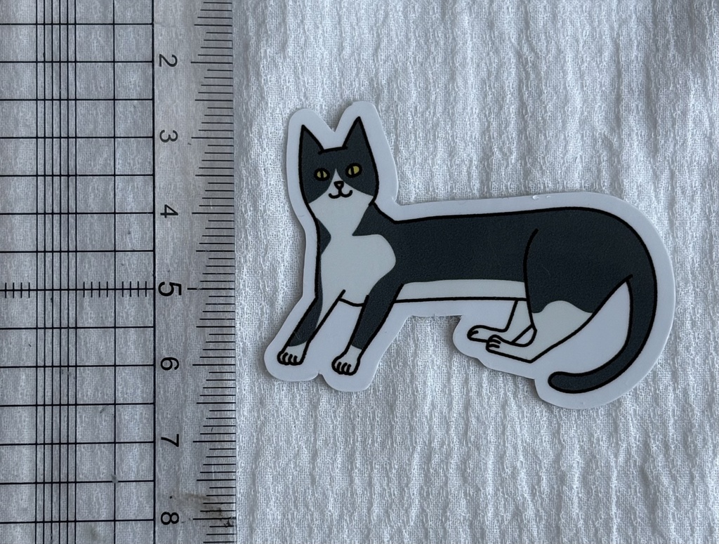横座りの猫(ハチワレ黒)