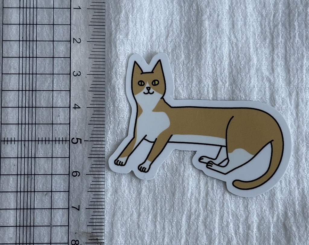 横座りの猫(ハチワレ茶)