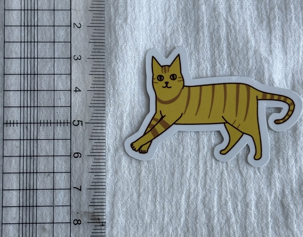 茶トラの猫