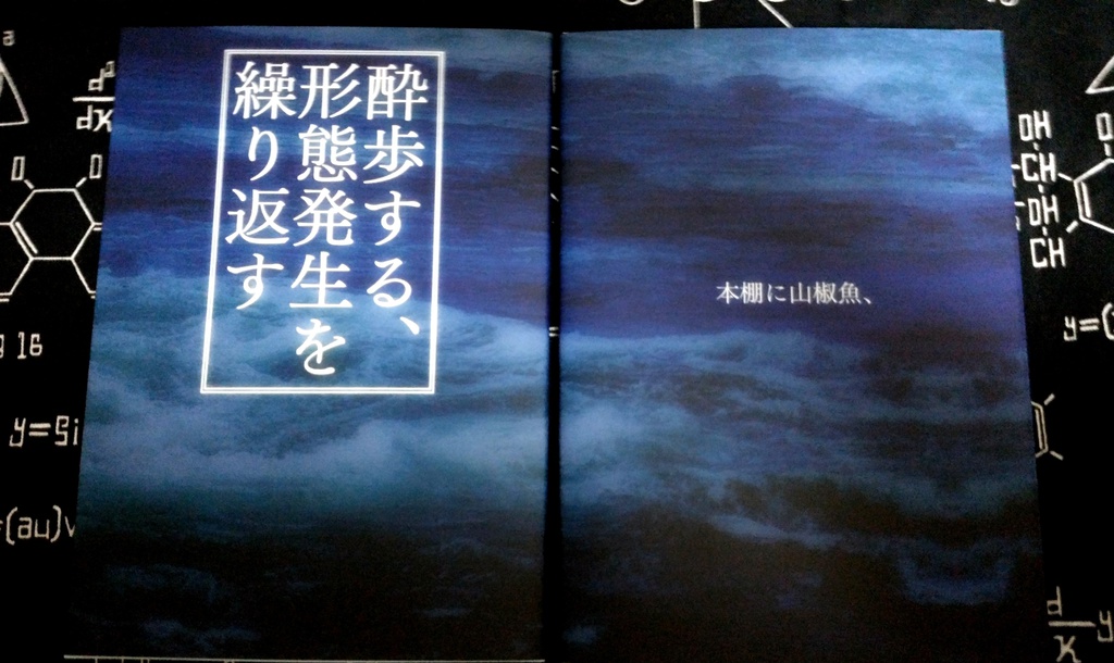 一十四小説本「酔歩する、形態発生を繰り返す」