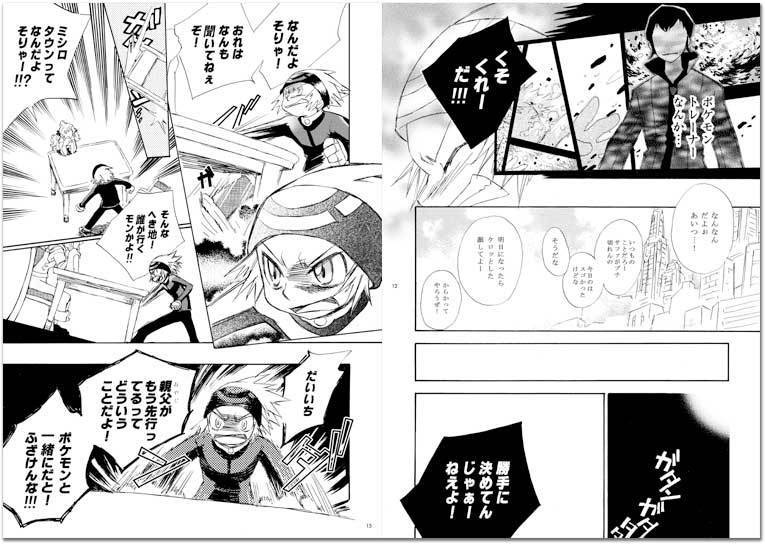 『空のカタチ』ポケモンRSEゲーム本