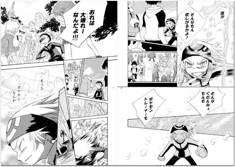 『空のカタチ』ポケモンRSEゲーム本