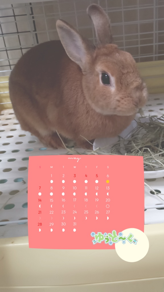 ５月の波瑠カレンダー