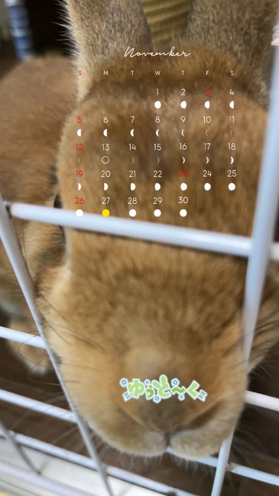 11月の波瑠ちゃんカレンダー