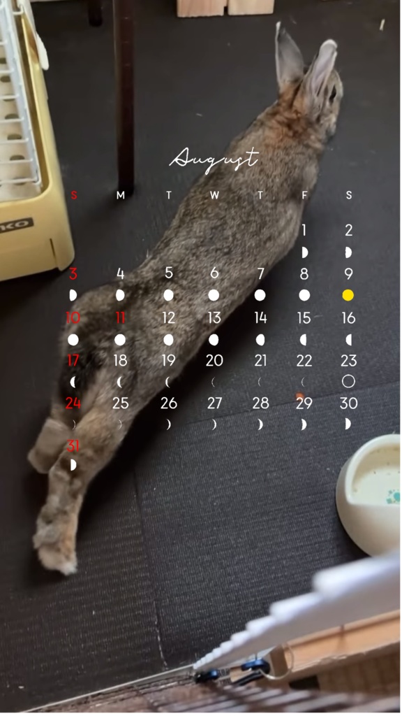 8月のゆえカレンダー