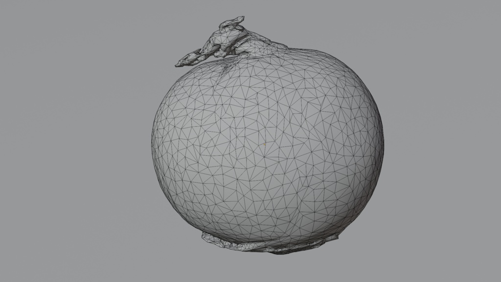 Onion 玉ねぎ | 3D Model