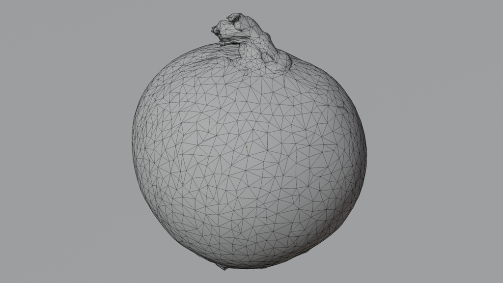 Onion 玉ねぎ | 3D Model