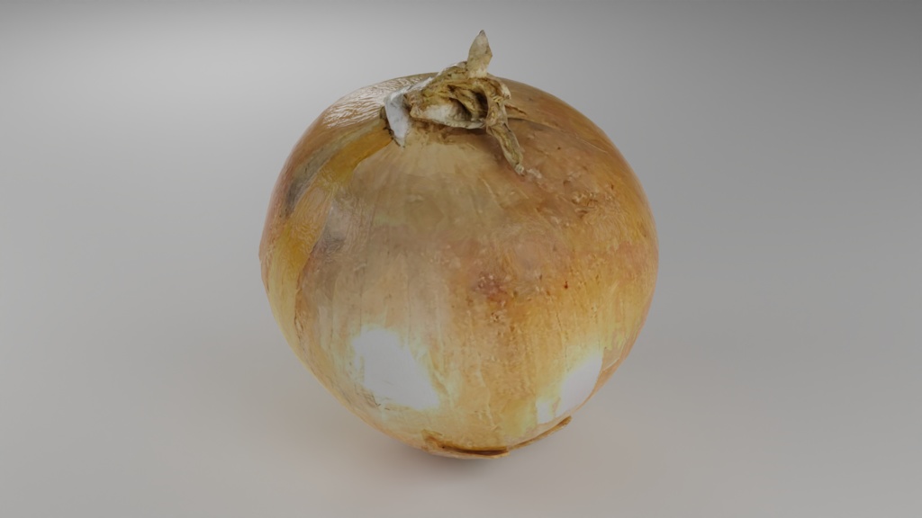 Onion 玉ねぎ | 3D Model