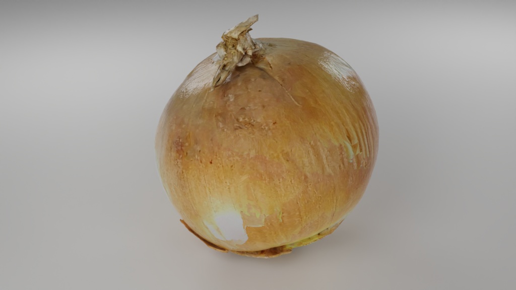Onion 玉ねぎ | 3D Model
