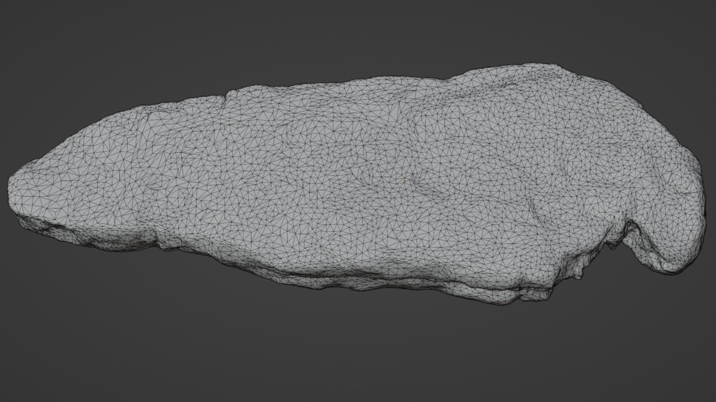 beef meat 牛肉 | 3D Model