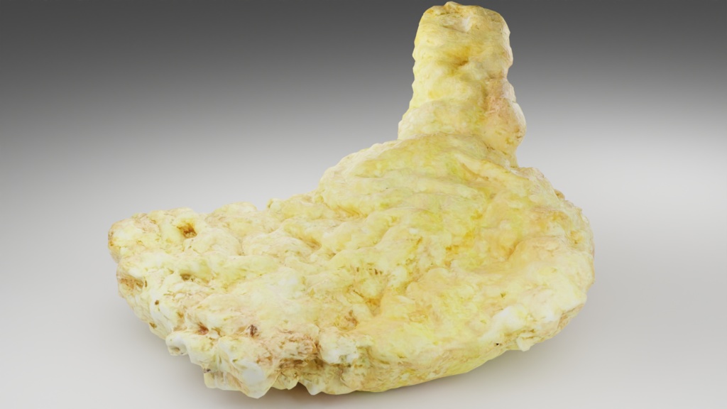 fried chicken フライドチキン | 3D Model