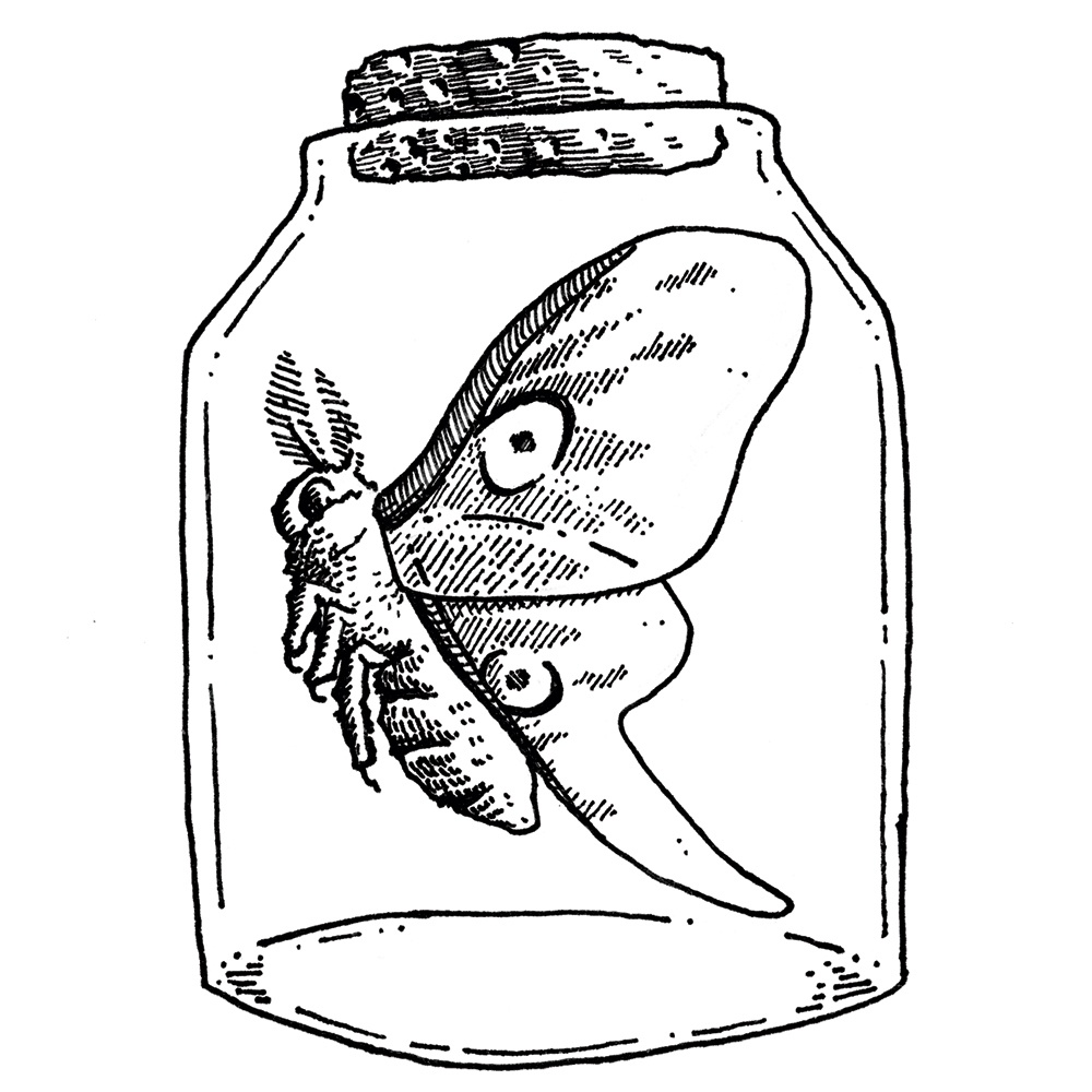 瓶に入った光るルナモスステッカー