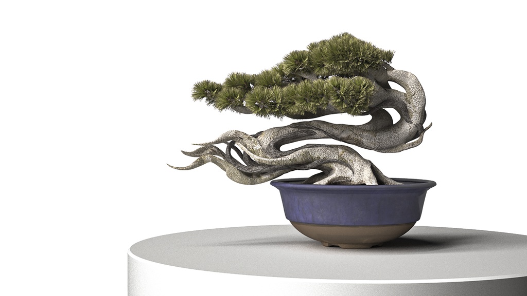 吹き流し盆栽 3Dモデル