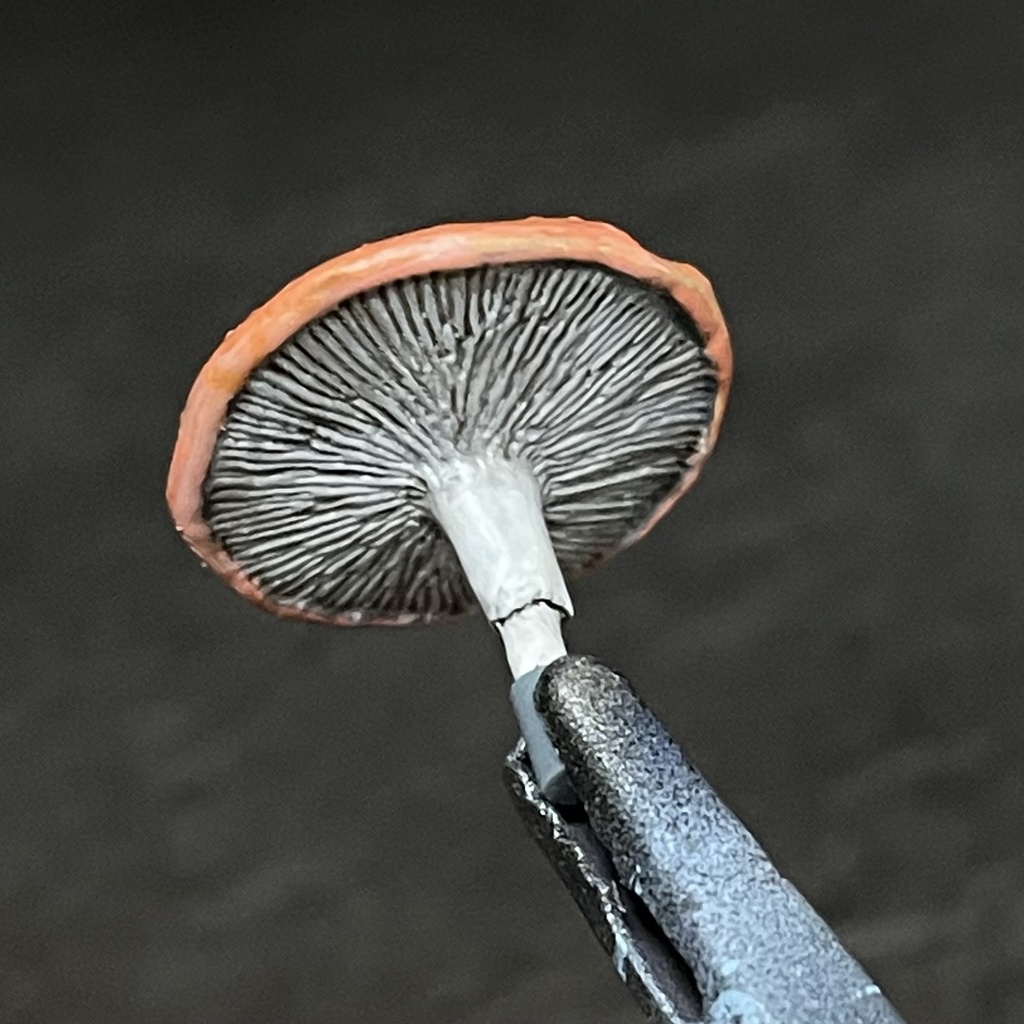 トレント幼体 未塗装3Dプリンター出力品