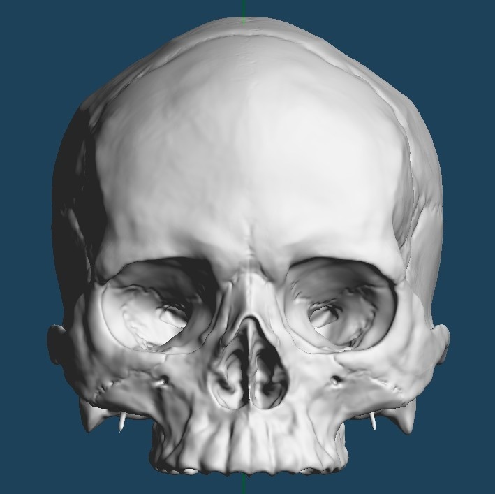 skull head