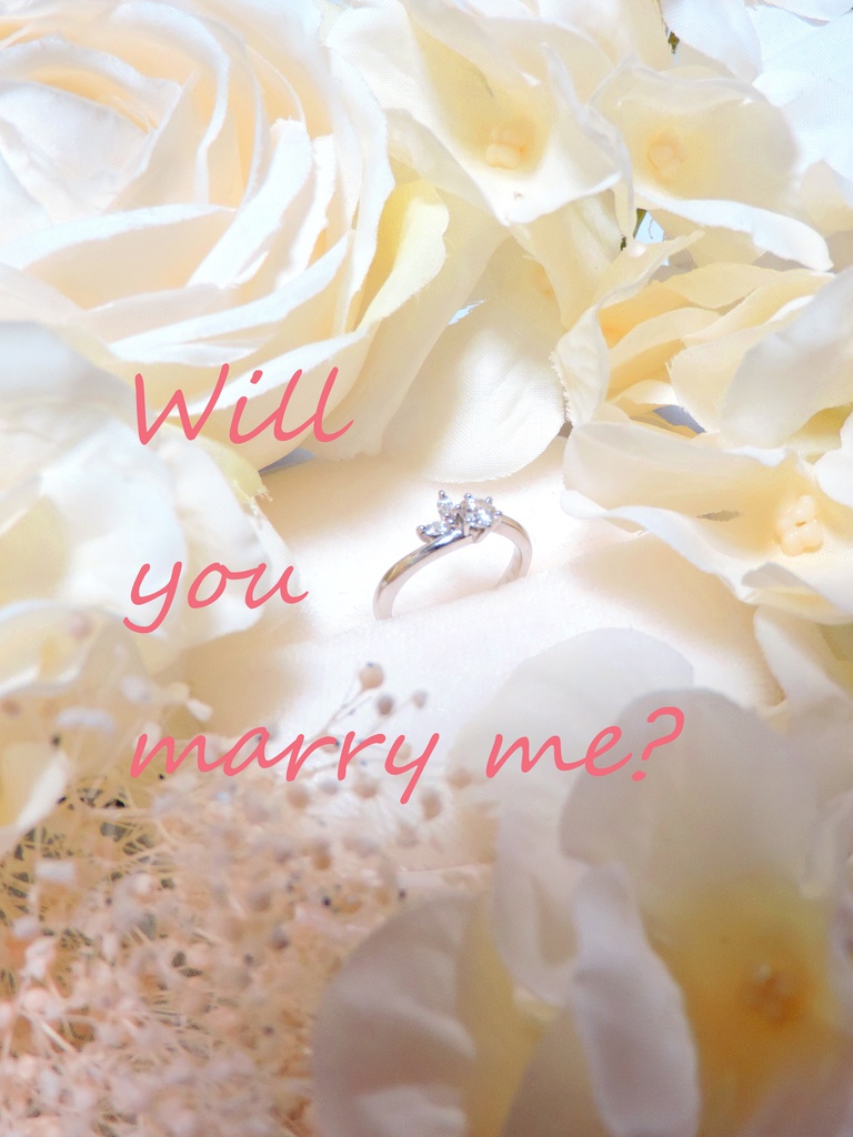 Will you marry me？