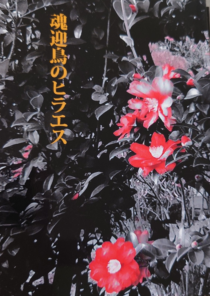 魂迎鳥のヒラエス