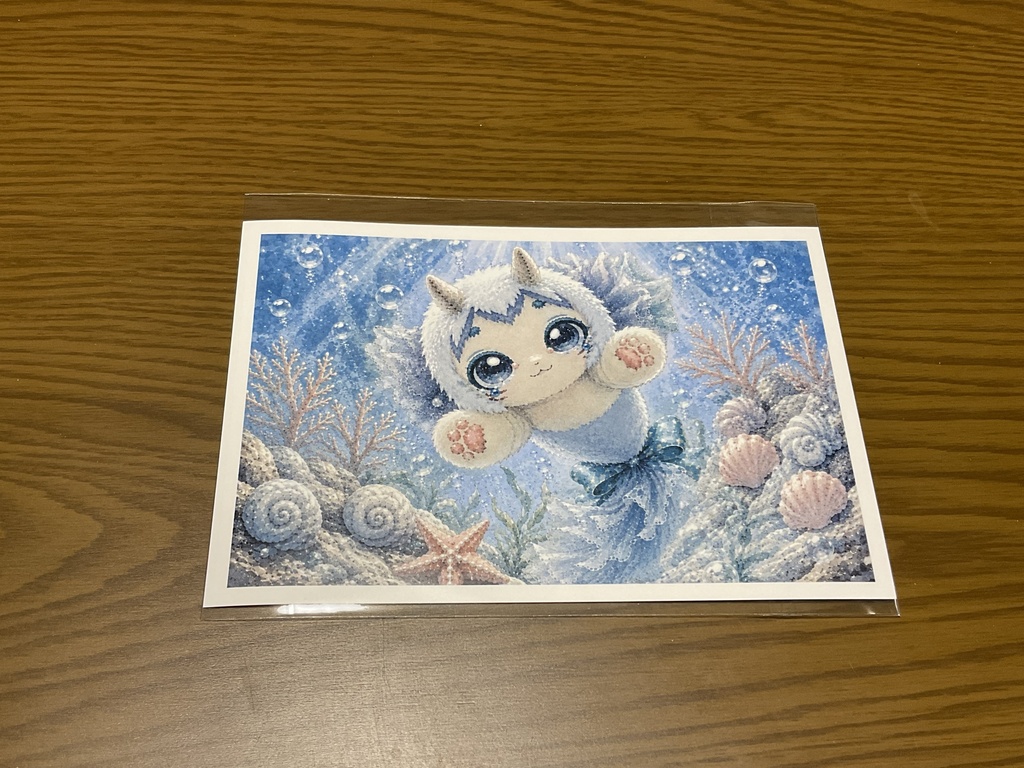 展示記録ポストカード【夏季限定・浅海域】