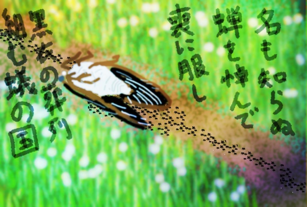 短歌ポストカード　名も知らぬ