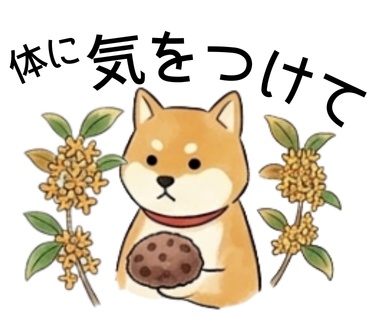 【全35種】 うさぎと森の仲間たちの日常デジタルスタンプセット